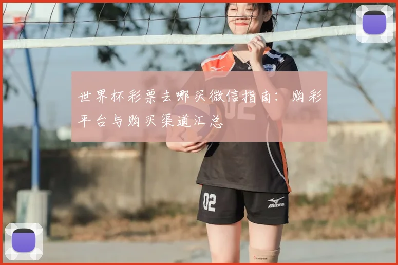 世界杯彩票去哪买微信指南:购彩平台与购买渠道汇总